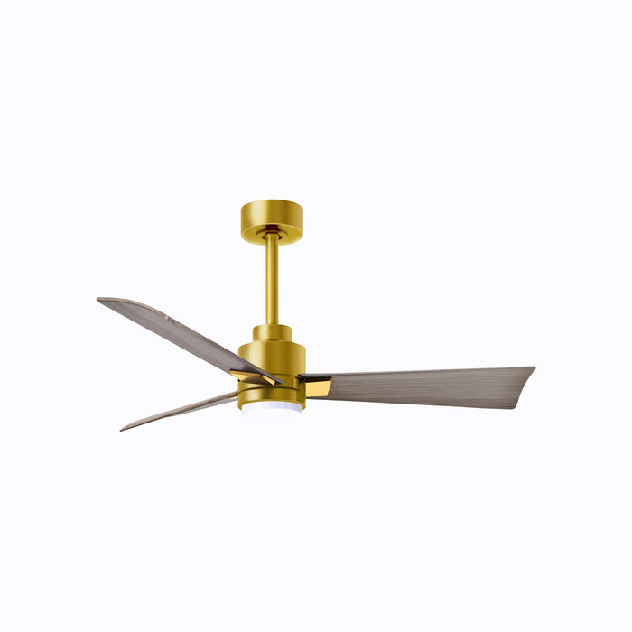 Alessandra Indoor / Outdoor LED Ceiling Fan in Brushed Brass/Gray Ash (42-Inch).