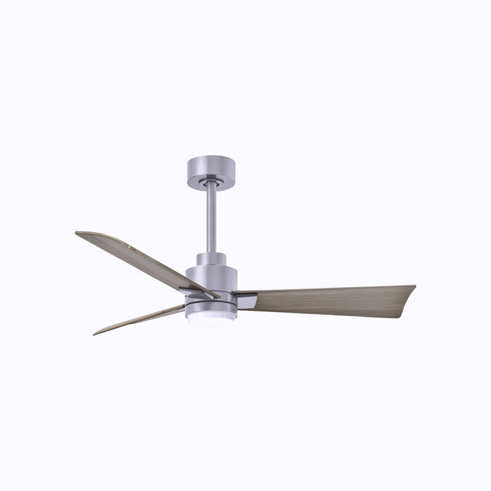 Alessandra Indoor / Outdoor LED Ceiling Fan in Brushed Nickel/Gray Ash (42-Inch).