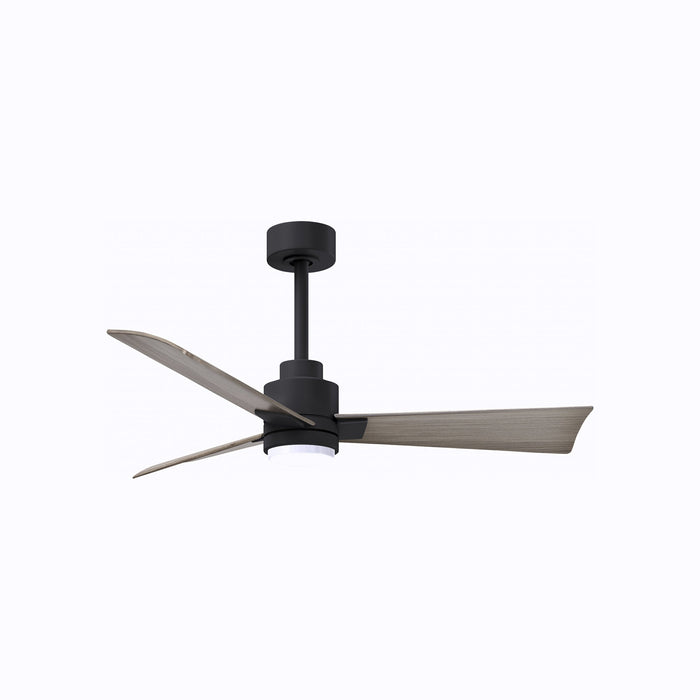 Alessandra Indoor / Outdoor LED Ceiling Fan in Matte Black/Gray Ash (42-Inch).