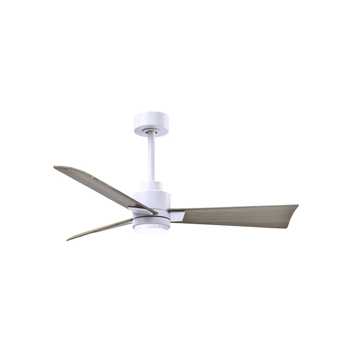 Alessandra Indoor / Outdoor LED Ceiling Fan in Matte White/Gray Ash (42-Inch).