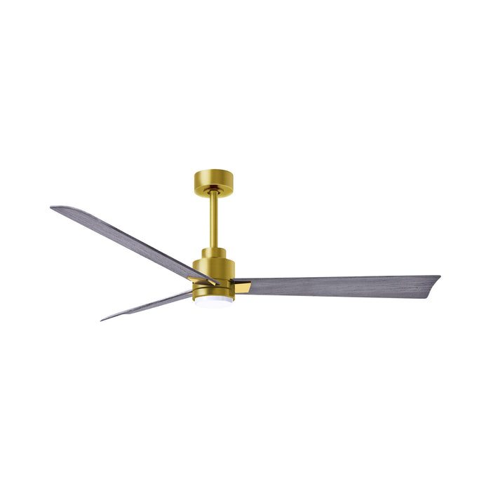 Alessandra Indoor / Outdoor LED Ceiling Fan in Brushed Brass/Barn Wood (56-Inch).
