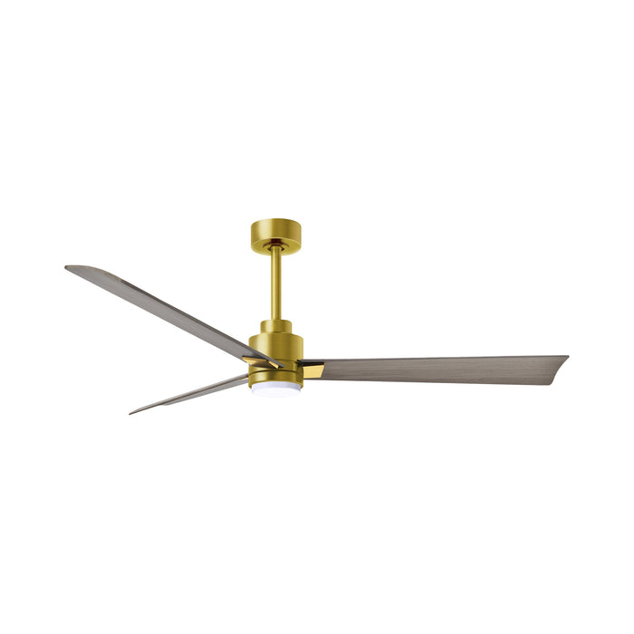 Alessandra Indoor / Outdoor LED Ceiling Fan in Brushed Brass/Gray Ash (56-Inch).