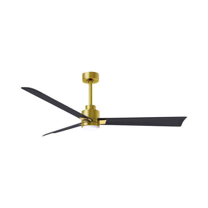 Alessandra Indoor / Outdoor LED Ceiling Fan in Brushed Brass/Matte Black (56-Inch).