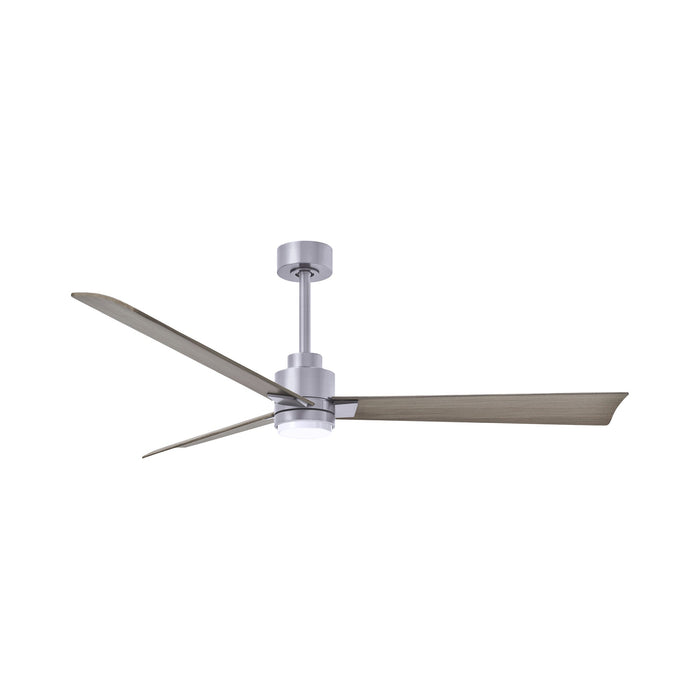 Alessandra Indoor / Outdoor LED Ceiling Fan in Brushed Nickel/Gray Ash (56-Inch).