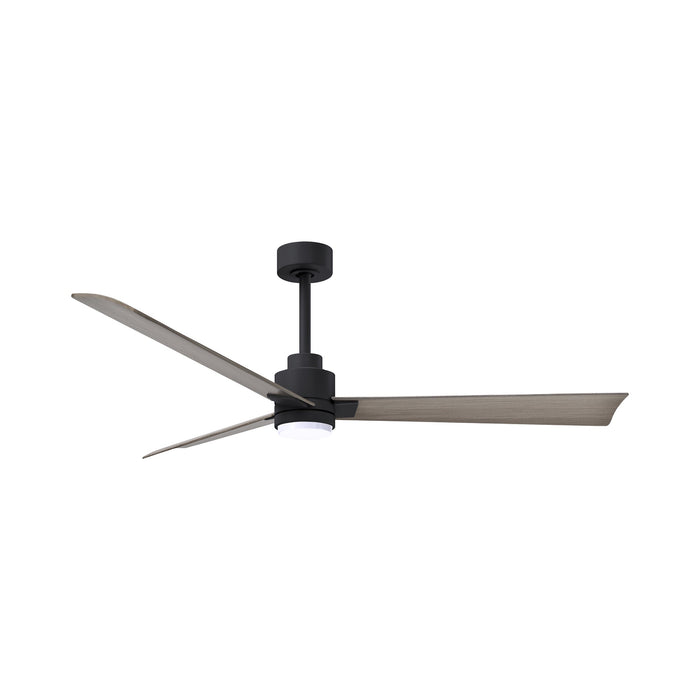 Alessandra Indoor / Outdoor LED Ceiling Fan in Matte Black/Gray Ash (56-Inch).