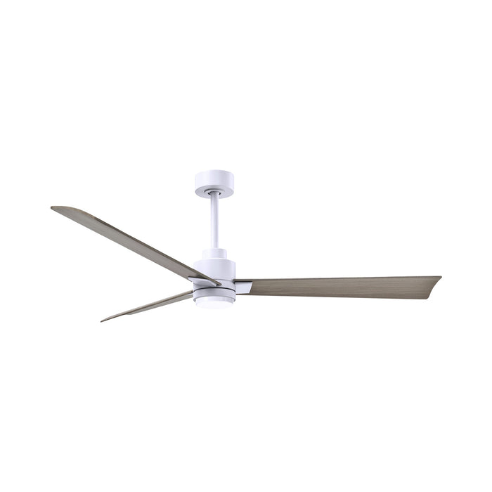 Alessandra Indoor / Outdoor LED Ceiling Fan in Matte White/Gray Ash (56-Inch).