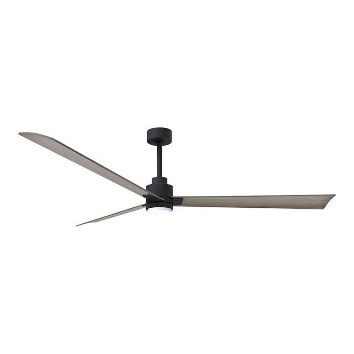 Alessandra Indoor / Outdoor LED Ceiling Fan in Matte Black/Gray Ash (72-Inch).
