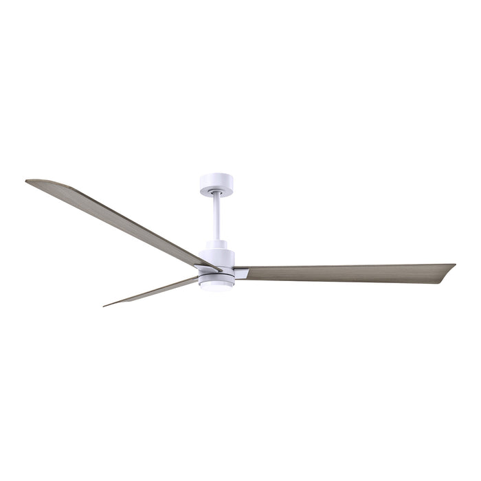Alessandra Indoor / Outdoor LED Ceiling Fan in Matte White/Gray Ash (72-Inch).