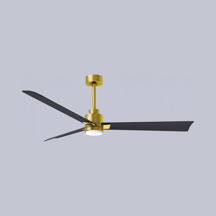 Alessandra Indoor / Outdoor LED Ceiling Fan in Detail.