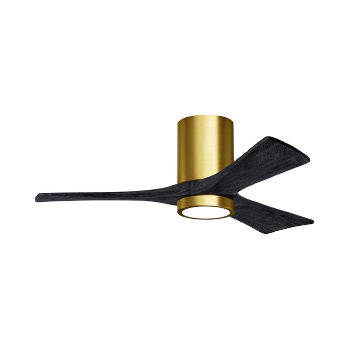 Irene IR3HLK 42-Inch Indoor / Outdoor LED Flush Mount Ceiling Fan in Brushed Brass/Matte Black.
