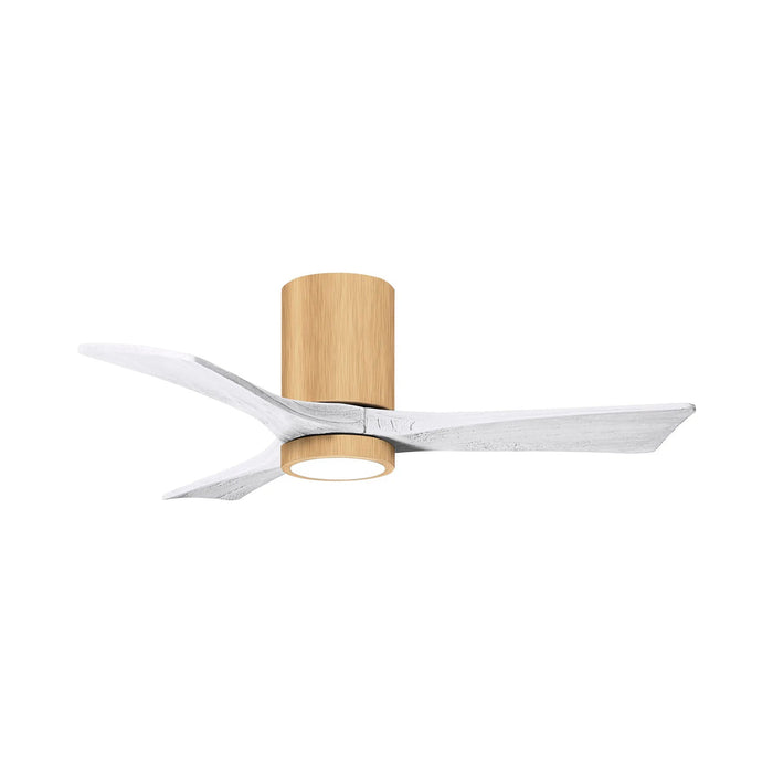 Irene IR3HLK 42-Inch Indoor / Outdoor LED Flush Mount Ceiling Fan in Light Maple/Matte White.
