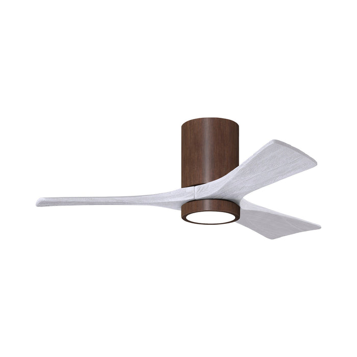 Irene IR3HLK 42-Inch Indoor / Outdoor LED Flush Mount Ceiling Fan in Walnut Tone/Matte White.