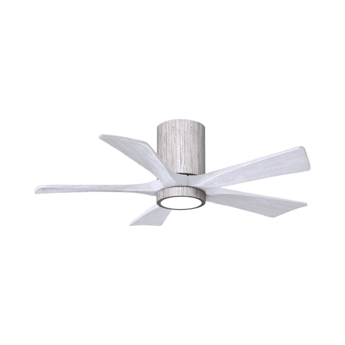 Irene IR5HLK 42-Inch Indoor / Outdoor LED Flush Mount Ceiling Fan in Barnwood Tone/Matte White.