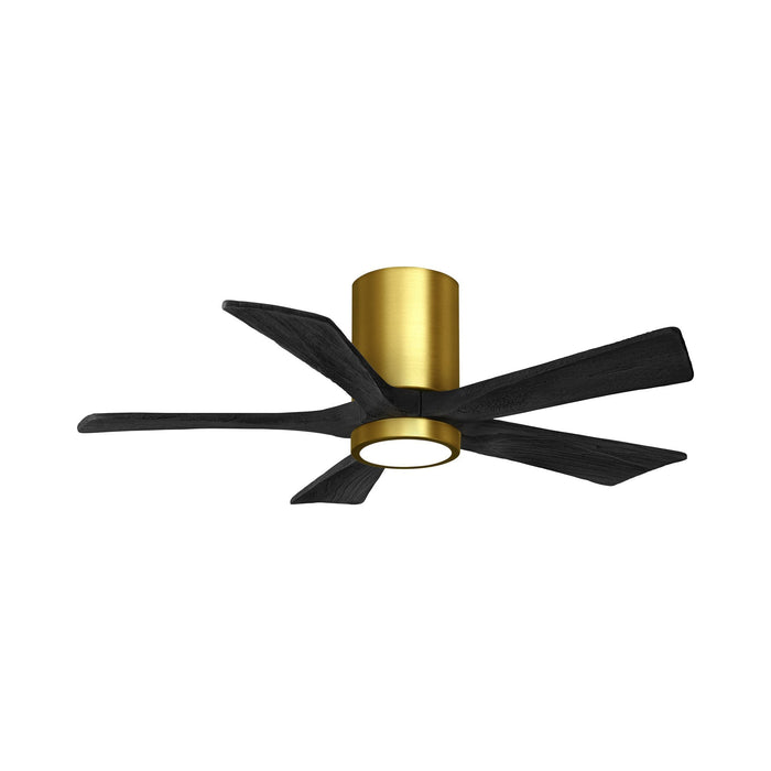 Irene IR5HLK 42-Inch Indoor / Outdoor LED Flush Mount Ceiling Fan in Brushed Brass/Matte Black.