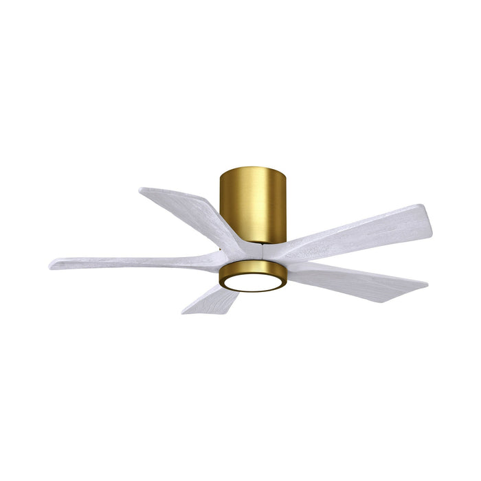 Irene IR5HLK 42-Inch Indoor / Outdoor LED Flush Mount Ceiling Fan in Brushed Brass/Matte White.