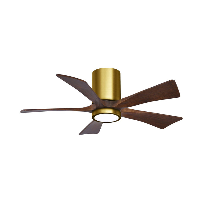 Irene IR5HLK 42-Inch Indoor / Outdoor LED Flush Mount Ceiling Fan in Brushed Brass/Walnut.