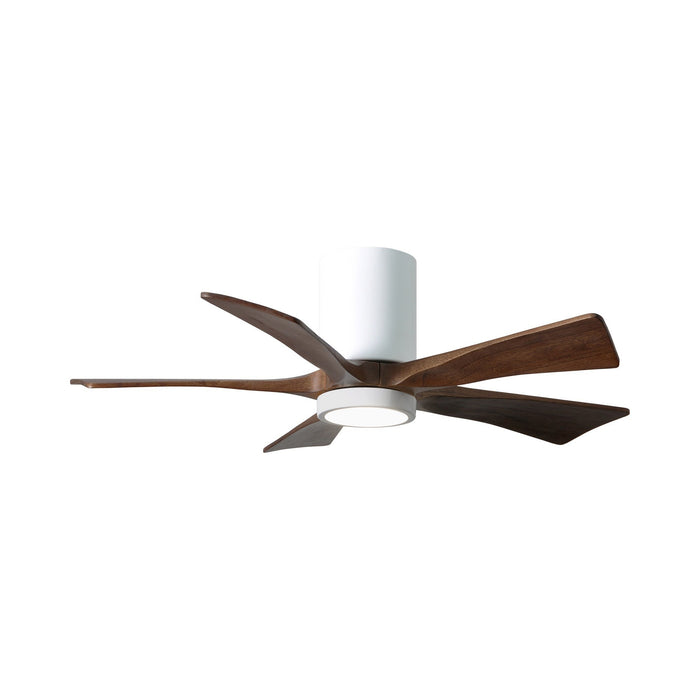 Irene IR5HLK 42-Inch Indoor / Outdoor LED Flush Mount Ceiling Fan in Gloss White/Walnut.