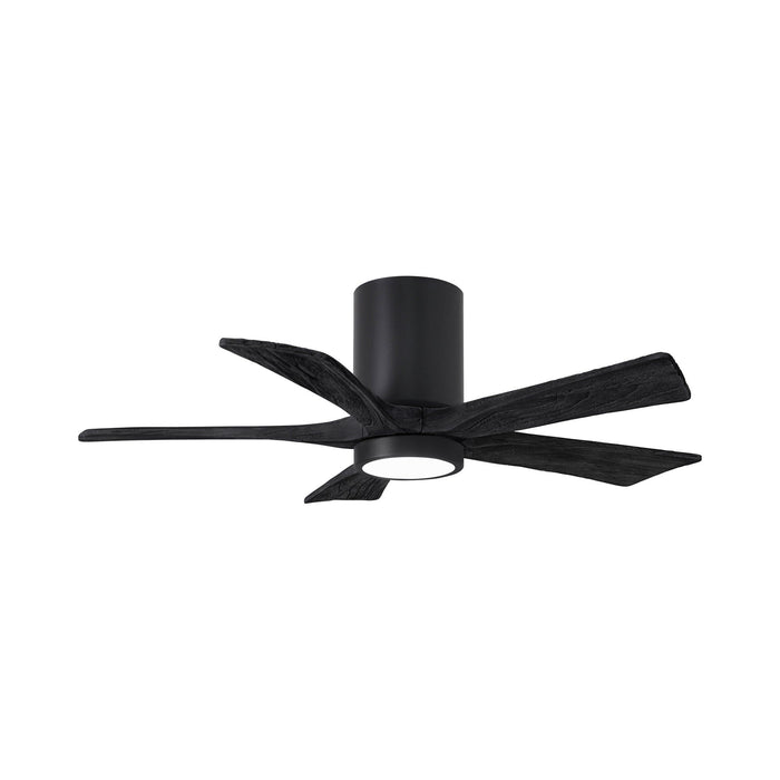 Irene IR5HLK 42-Inch Indoor / Outdoor LED Flush Mount Ceiling Fan in Matte Black/Matte Black.