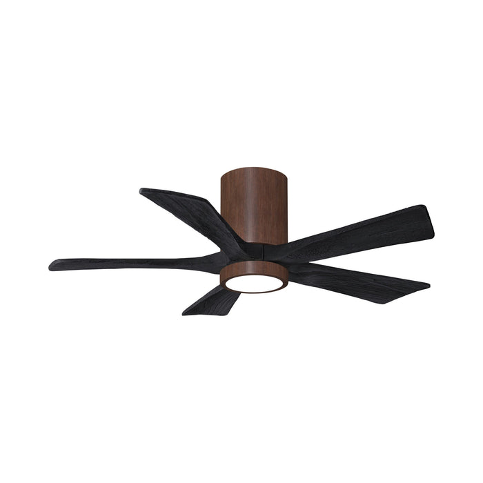 Irene IR5HLK 42-Inch Indoor / Outdoor LED Flush Mount Ceiling Fan in Walnut Tone/Matte Black.