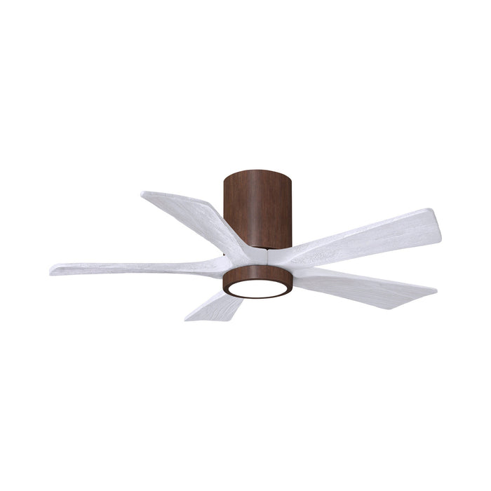 Irene IR5HLK 42-Inch Indoor / Outdoor LED Flush Mount Ceiling Fan in Walnut Tone/Matte White.