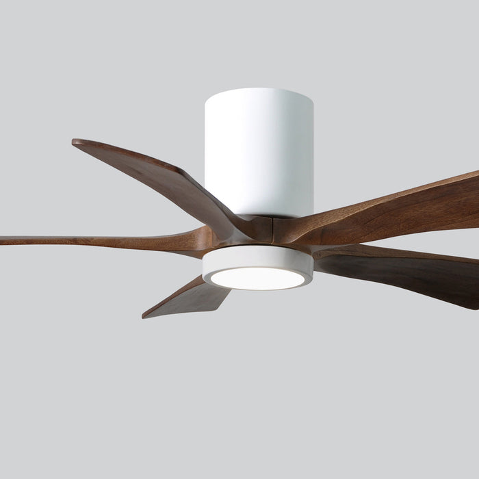 Irene IR5HLK 42-Inch Indoor / Outdoor LED Flush Mount Ceiling Fan in Detail.