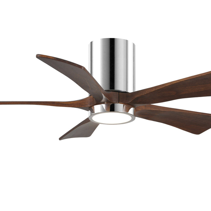 Irene IR5HLK 42-Inch Indoor / Outdoor LED Flush Mount Ceiling Fan in Detail.