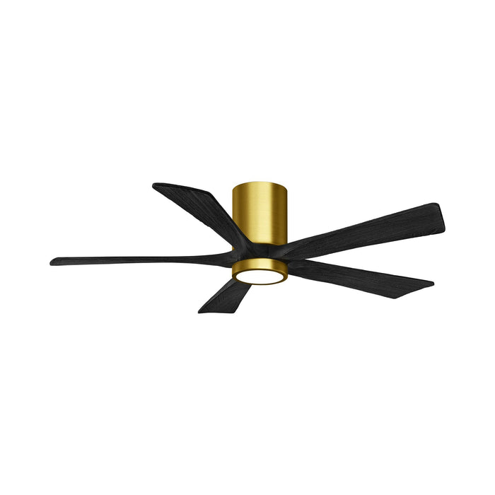 Irene IR5HLK 52-Inch Indoor / Outdoor LED Flush Mount Ceiling Fan in Brushed Brass/Matte Black.