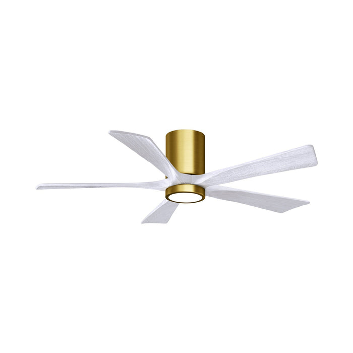 Irene IR5HLK 52-Inch Indoor / Outdoor LED Flush Mount Ceiling Fan in Brushed Brass/Matte White.