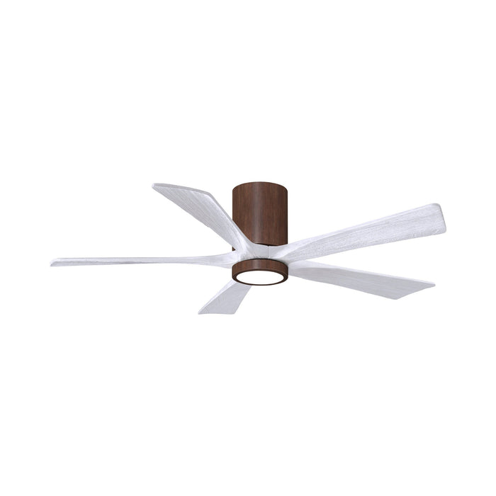 Irene IR5HLK 52-Inch Indoor / Outdoor LED Flush Mount Ceiling Fan in Walnut Tone/Matte White.