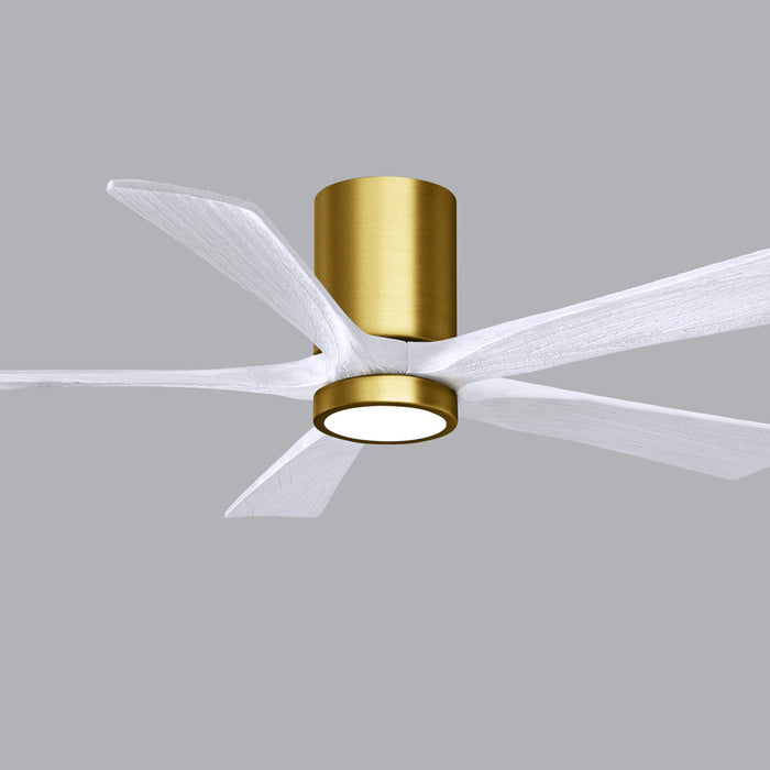 Irene IR5HLK 52-Inch Indoor / Outdoor LED Flush Mount Ceiling Fan in Detail.