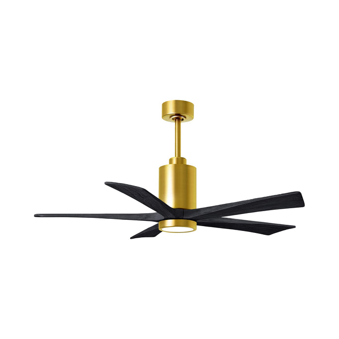 Patricia 5 Indoor / Outdoor LED Ceiling Fan in Brushed Brass/Matte Black (52-Inch).