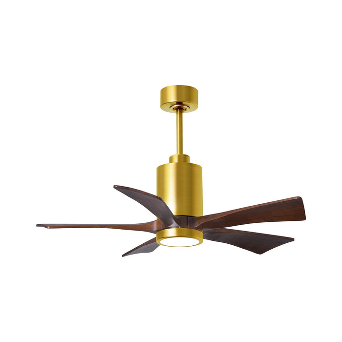 Patricia 5 Indoor / Outdoor LED Ceiling Fan in Brushed Brass/Walnut (42-Inch).