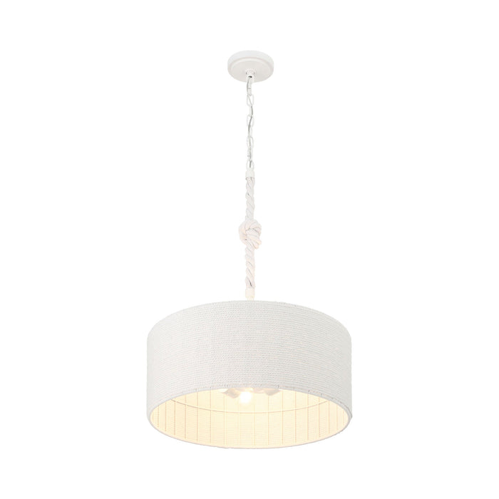 Lodelle Pendant Light in Detail.