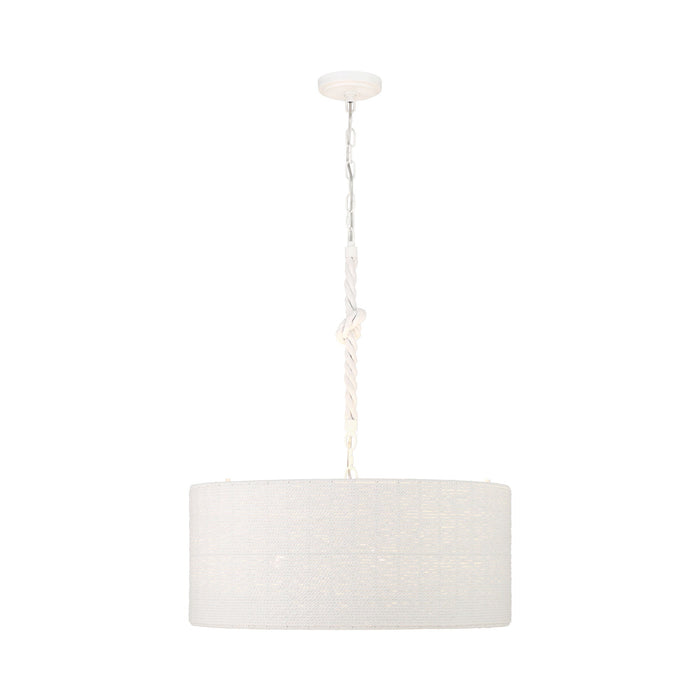 Lodelle Pendant Light in Detail.