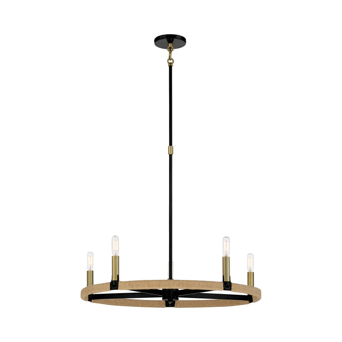 Windward Passage Chandelier in Coal and Soft Brass.