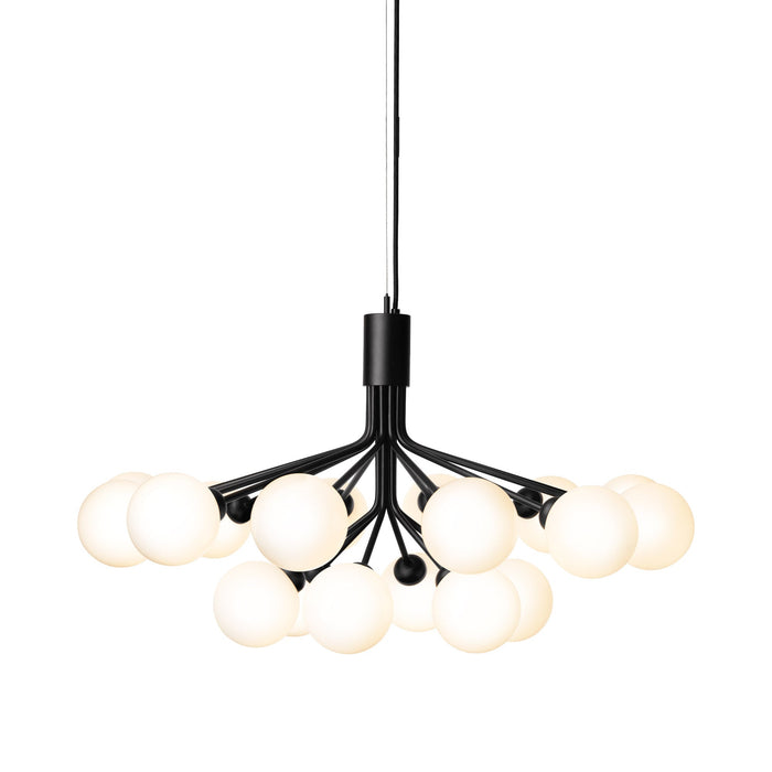 Apiales Chandelier in Satin Black/Opal White (18-Light).