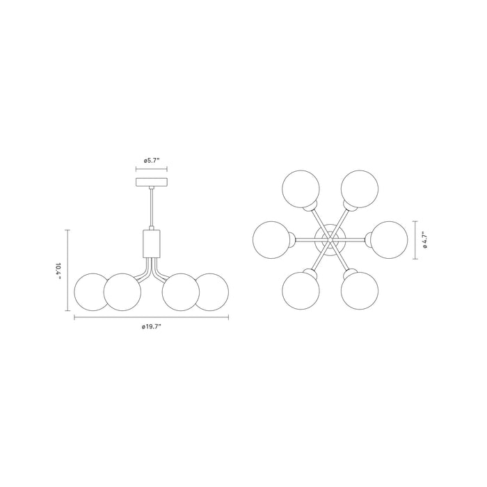 Apiales Chandelier - line drawing.