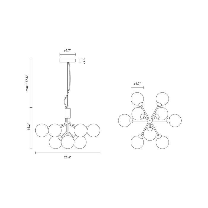 Apiales Chandelier - line drawing.