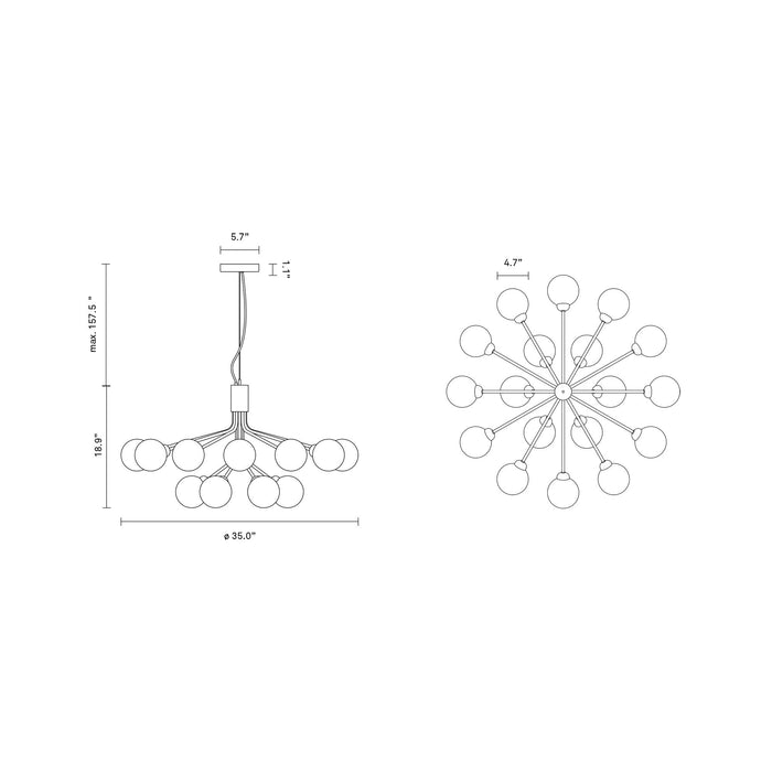 Apiales Chandelier - line drawing.