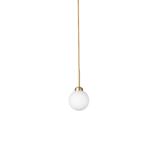 Apiales Pendant Light.