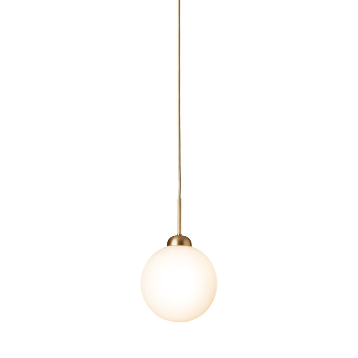 Apiales Pendant Light in Brushed Brass (Large).