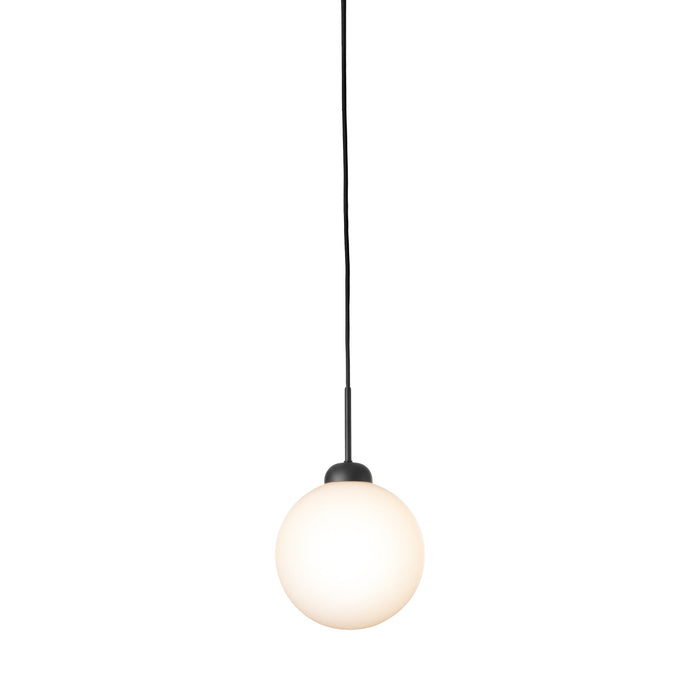 Apiales Pendant Light in Satin Black (Large).