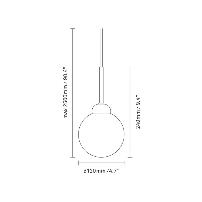 Apiales Pendant Light - line drawing.