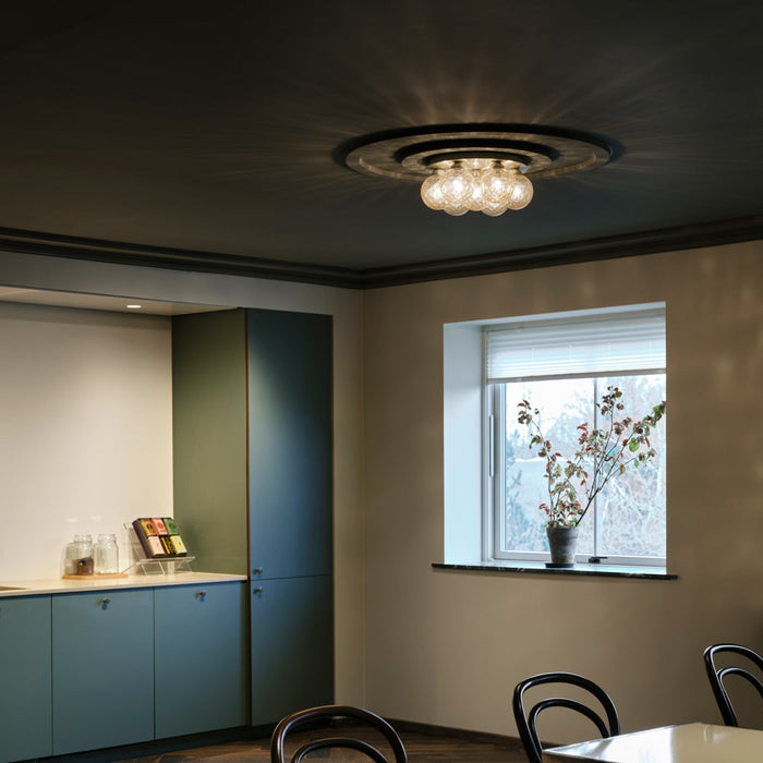 Apiales Plafond Flush Mount Ceiling Light in living room.