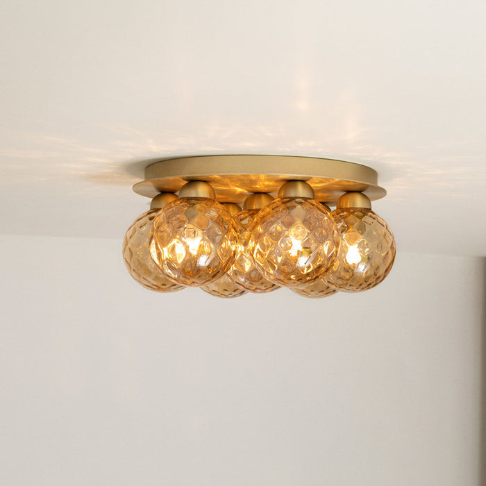 Apiales Plafond Flush Mount Ceiling Light in Detail.