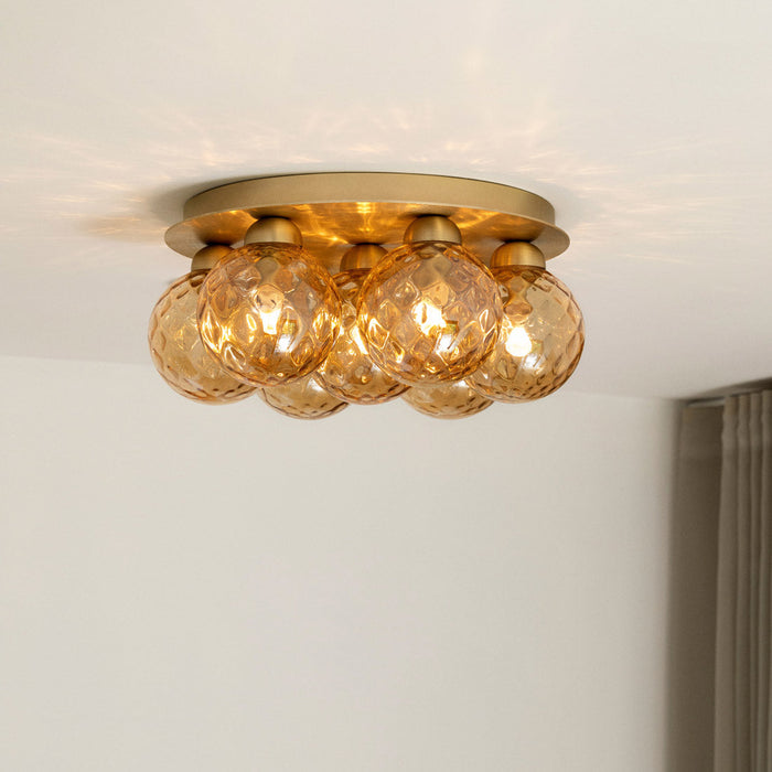 Apiales Plafond Flush Mount Ceiling Light in Detail.