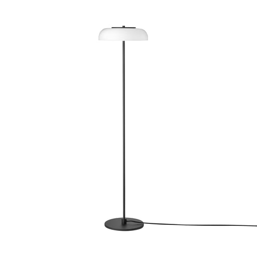 Blossi LED Floor Lamp.