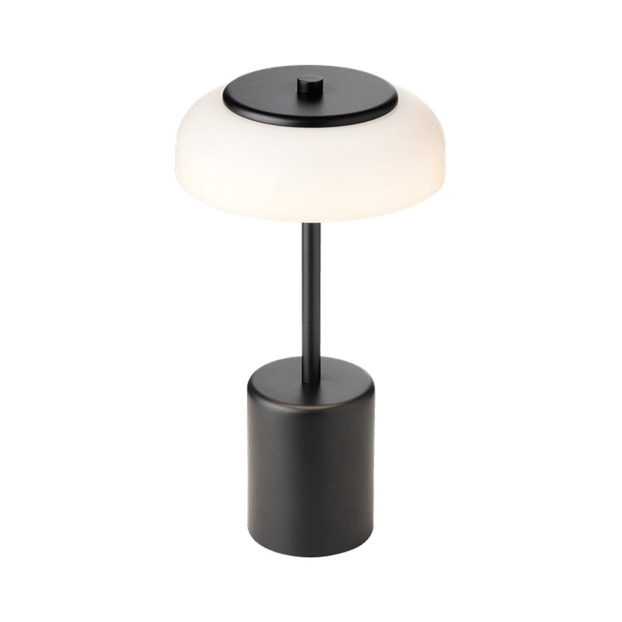 Blossi LED Mini Portable Table Lamp.