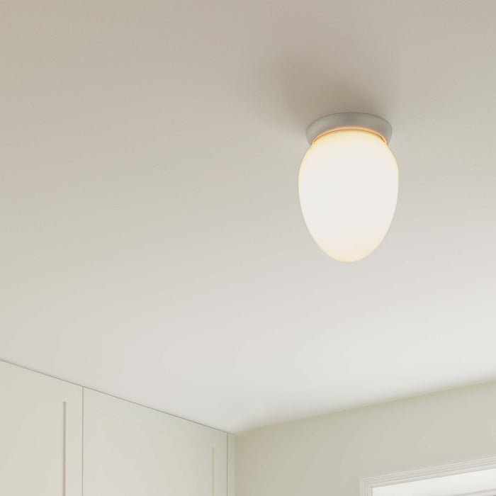 Rizzatto Flush Mount Ceiling Light in Detail.