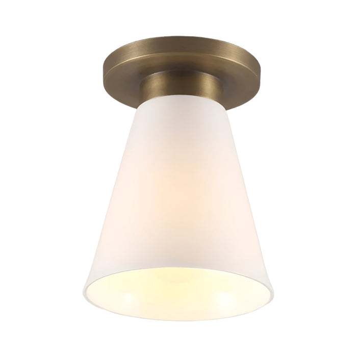 Hector Flowerpot Flush Mount Ceiling Light in Antique Brass.